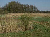 NL, Noord-Brabant, Baarle-Nassau, Baarlebrug 27, Saxifraga-Willem van Kruijsbergen