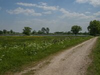 NL, Noord-Brabant, Boxmeer, De Vilt 1, Saxifraga-Jan van der Straaten