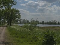 NL, Noord-Brabant, Boxmeer, De Vilt 5, Saxifraga-Jan van der Straaten