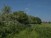 NL, Noord-Brabant, Boxmeer, Koude Oord 11, Saxifraga-Jan van der Straaten