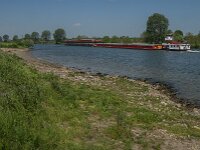 NL, Noord-Brabant, Boxmeer, Koude Oord 12, Saxifraga-Jan van der Straaten