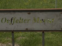 NL, Noord-Brabant, Boxmeer, Oeffelter Meent 23, Saxifraga-Jan van der Straaten