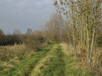 NL, Noord-Brabant, Boxmeer, Oeffelter Meent 33, Saxifraga-Jan van der Straaten