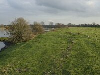 NL, Noord-Brabant, Boxmeer, Oeffelter Meent 42, Saxifraga-Jan van der Straaten
