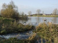 NL, Noord-Brabant, Boxmeer, Oeffeltsche Raam 13, Saxifraga-Jan van der Straaten