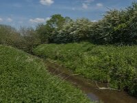 NL, Noord-Brabant, Boxmeer, Oeffeltsche Raam 6, Saxifraga-Jan van der Straaten