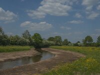 NL, Noord-Brabant, Boxmeer, Viltsche Graaf 3, Saxifraga-Jan van der Straaten
