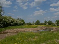 NL, Noord-Brabant, Boxmeer, Viltsche Graaf 4, Saxifraga-Jan van der Straaten