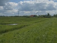 Drimmelen