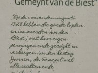 NL, Noord-Brabant, Hilvarenbeek, Biestse Gemeynt 5, Saxifraga-Jan van der Straaten