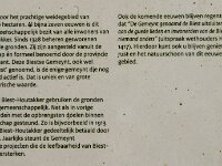 NL, Noord-Brabant, Hilvarenbeek, Biestse Gemeynt 6, Saxifraga-Jan van der Straaten