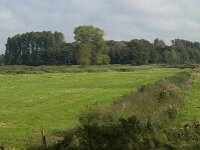NL, Noord-Brabant, Oisterwijk, Den Opslag 1, Saxifraga-Jan van der Straaten