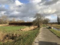 NL, Noord-Brabant, Oisterwijk, Hoevensesteeg 1, Saxifraga-Jan van der Straaten