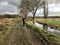 NL, Noord-Brabant, Oisterwijk, Hoevensesteeg 5, Saxifraga-Jan van der Straaten