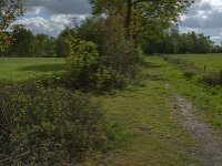 NL, Noord-Brabant, Oisterwijk, Voorste Stroom 26, Saxifraga-Jan van der Straaten