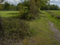 NL, Noord-Brabant, Oisterwijk, Voorste Stroom 27, Saxifraga-Jan van der Straaten