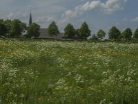 NL, Noord-Brabant, Oss, Middelwaard 9, Saxifraga-Jan van der Straaten
