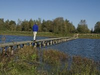 Steenbergen