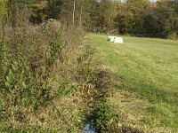 NL, Noord-Brabant, Valkenswaard, Pelterheggen 13, Saxifraga-Jan van der Straaten