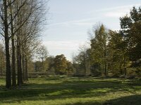 NL, Noord-Brabant, Valkenswaard, Pelterheggen 19, Saxifraga-Jan van der Straaten