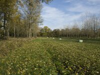 NL, Noord-Brabant, Valkenswaard, Pelterheggen 20, Saxifraga-Jan van der Straaten