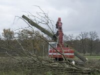 NL, Noord-Brabant, Valkenswaard, Pelterheggen 33, Saxifraga-Jan van der Straaten