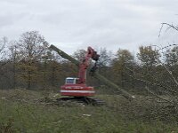 NL, Noord-Brabant, Valkenswaard, Pelterheggen 35, Saxifraga-Jan van der Straaten