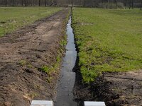 NL, Noord-Brabant, Valkenswaard, Pelterheggen 41, Saxifraga-Marijke Verhagen