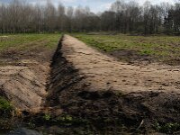 NL, Noord-Brabant, Valkenswaard, Pelterheggen 45, Saxifraga-Jan van der Straaten