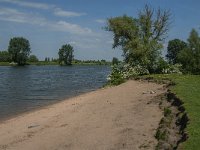 NL, Noord-Brabant, 's-Hertogenbosch, De Koornwaard 79, Saxifraga-Jan van der Straaten