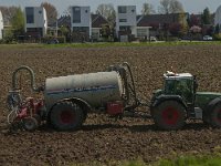 NL, Noord-Brabant, 's-Hertogenbosch, Empel 1, Saxifraga-Jan van der Straaten