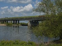 NL, Noord-Brabant, 's-Hertogenbosch, Empelse Waard 3, Saxifraga-Marijke Verhagen