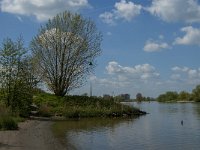 NL, Noord-Brabant, 's-Hertogenbosch, Empelse Waard 9, Saxifraga-Marijke Verhagen