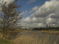 NL, Noord-Brabant, ´s-Hertogenbosch, Bossche Broek 35, Saxifraga-Jan van der Straaten