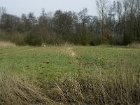 NL, Noord-Brabant, Baarle-Nassau, Baarlebrug 20, Saxifraga-Willem van Kruijsbergen