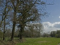 NL, Noord-Brabant, Baarle-Nassau, Baarlebrug 23, Saxifraga-Willem van Kruijsbergen