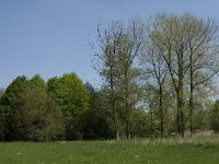 NL, Noord-Brabant, Baarle-Nassau, Baarlebrug 34, Saxifraga-Willem van Kruijsbergen