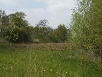 NL, Noord-Brabant, Baarle-Nassau, De Broskens 16, Saxifraga-Willem van Kruijsbergen