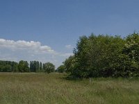 NL, Noord-Brabant, Baarle-Nassau, De Broskens 19, Saxifraga-Jan van der Straaten