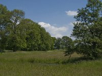 NL, Noord-Brabant, Baarle-Nassau, De Broskens 49, Saxifraga-Jan van der Straaten