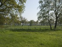 NL, Noord-Brabant, Baarle-Nassau, De Manke Goren 128, Saxifraga-Willem van Kruijsbergen