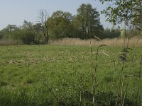 NL, Noord-Brabant, Baarle-Nassau, De Manke Goren 131, Saxifraga-Willem van Kruijsbergen