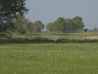 NL, Noord-Brabant, Baarle-Nassau, De Manke Goren 138, Saxifraga-Willem van Kruijsbergen