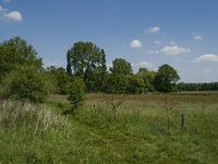 NL, Noord-Brabant, Baarle-Nassau, De Manke Goren 163, Saxifraga-Jan van der Straaten