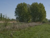 NL, Noord-Brabant, Baarle-Nassau, De Manke Goren 200, Saxifraga-Jan van der Straaten