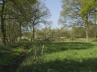 NL, Noord-Brabant, Baarle-Nassau, De Manke Goren 39, Saxifraga-Willem van Kruijsbergen