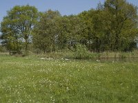 NL, Noord-Brabant, Baarle-Nassau, De Manke Goren 44, Saxifraga-Willem van Kruijsbergen