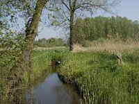 NL, Noord-Brabant, Baarle-Nassau, De Manke Goren 54, Saxifraga-Willem van Kruijsbergen