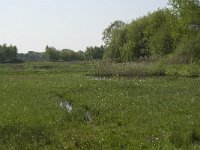 NL, Noord-Brabant, Baarle-Nassau, De Manke Goren 75, Saxifraga-Willem van Kruijsbergen