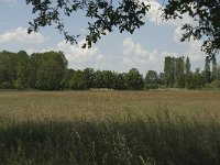 NL, Noord-Brabant, Baarle-Nassau, De Manke Goren 88, Saxifraga-Willem van Kruijsbergen